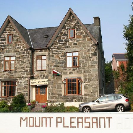 Mount Pleasant B&B เคอร์นาวอน ภายนอก รูปภาพ